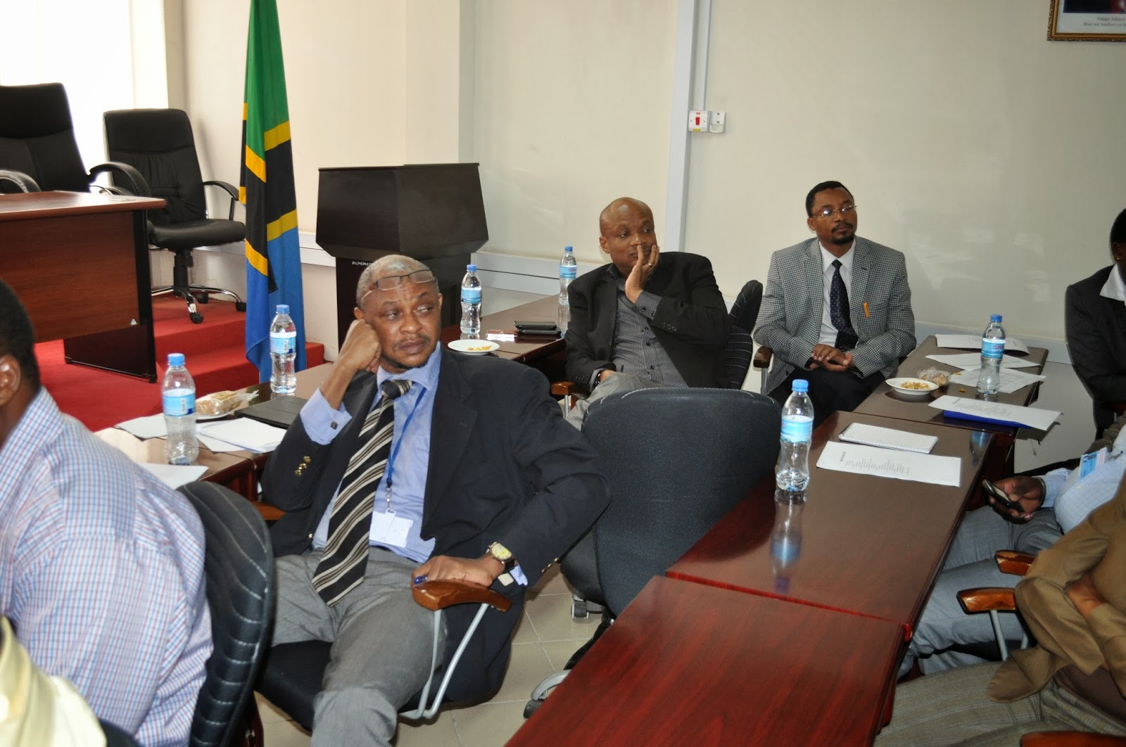 Disney International Consultancy