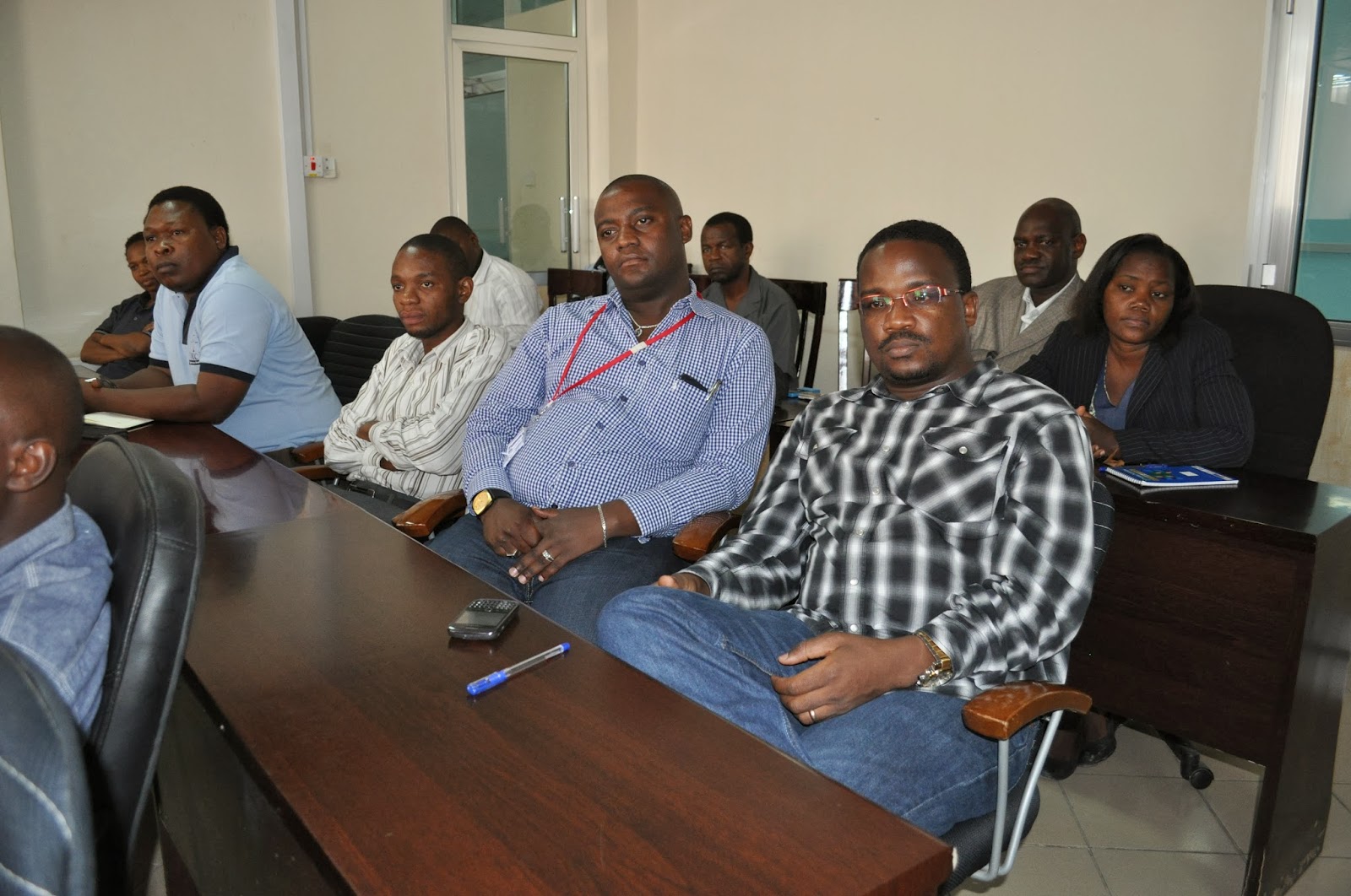 Disney International Consultancy