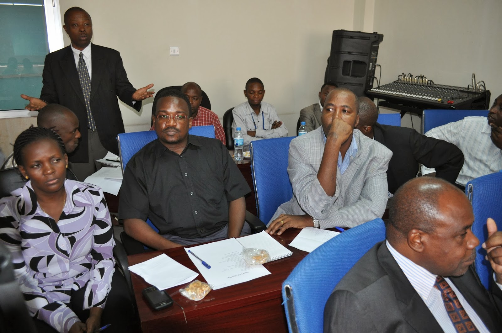 Disney International Consultancy