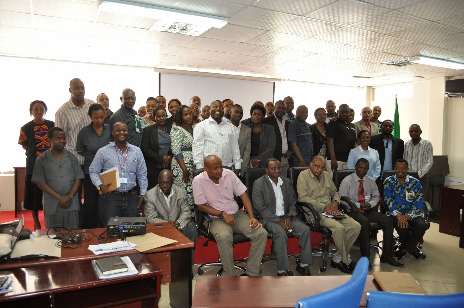 Disney International Consultancy