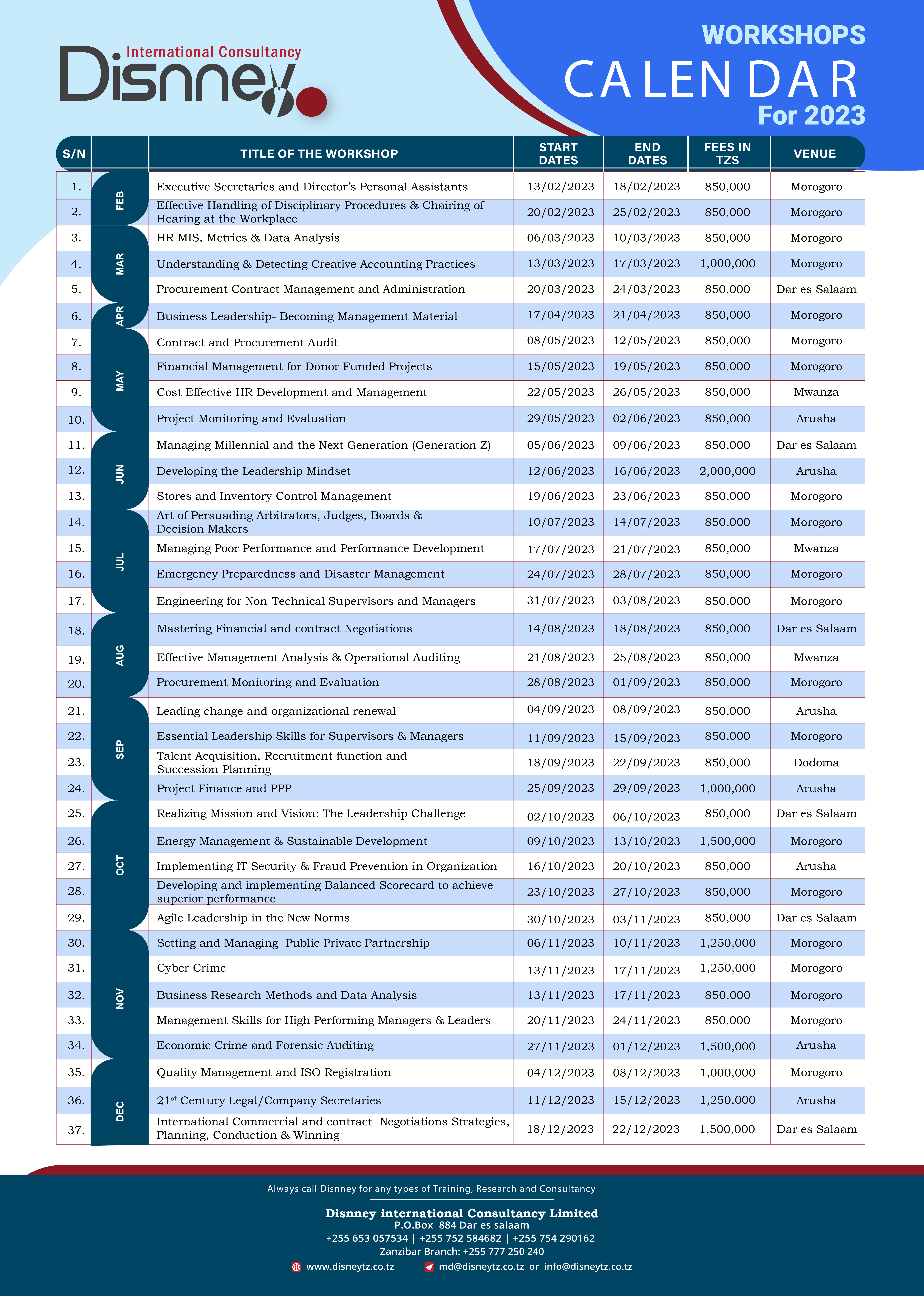 Disney International Consultancy