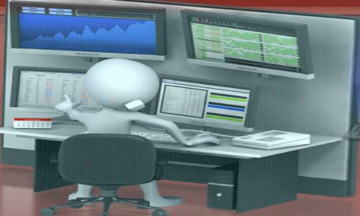 Disney International Consultancy