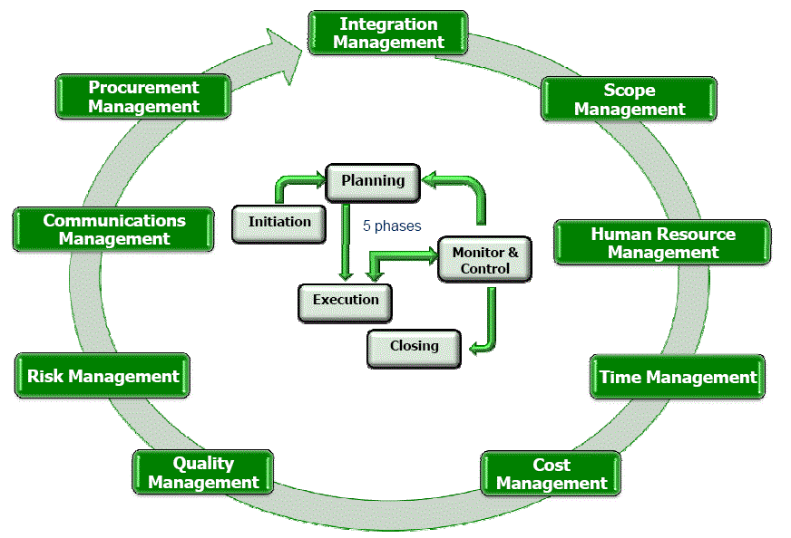 Disney International Consultancy
