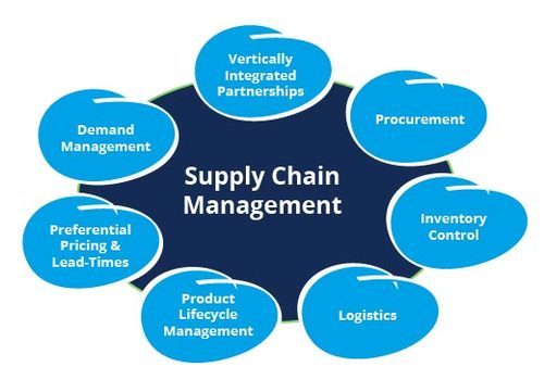 Disney International Consultancy